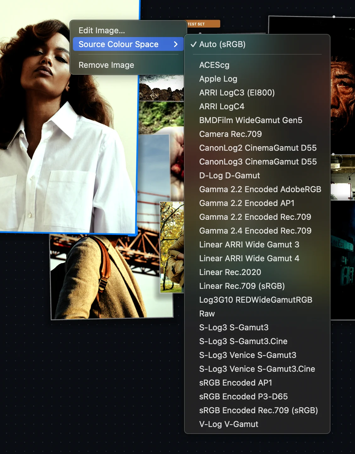Source Colour Space menu